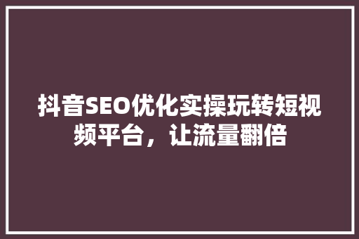 抖音SEO优化实操玩转短视频平台，让流量翻倍