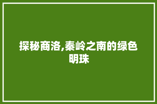 探秘商洛,秦岭之南的绿色明珠