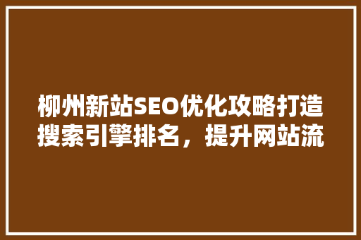 柳州新站SEO优化攻略打造搜索引擎排名，提升网站流量
