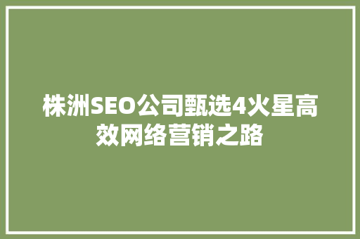 株洲SEO公司甄选4火星高效网络营销之路