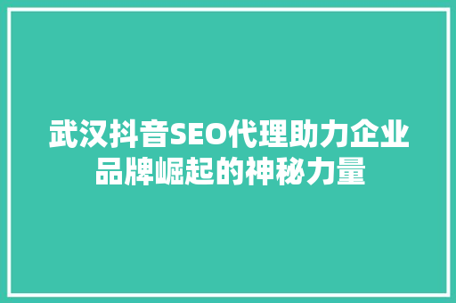 武汉抖音SEO代理助力企业品牌崛起的神秘力量 武汉抖音SEO代理助力企业品牌崛起的神秘力量