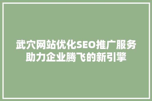 武穴网站优化SEO推广服务助力企业腾飞的新引擎