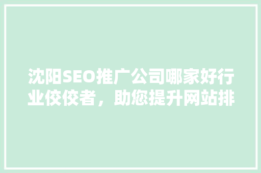 沈阳SEO推广公司哪家好行业佼佼者，助您提升网站排名