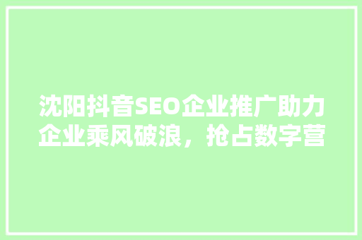 沈阳抖音SEO企业推广助力企业乘风破浪，抢占数字营销高地
