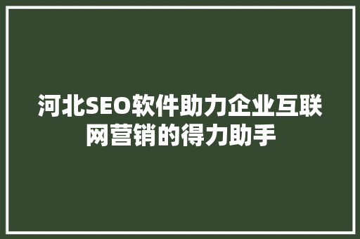 河北SEO软件助力企业互联网营销的得力助手