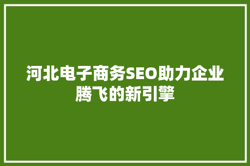 河北电子商务SEO助力企业腾飞的新引擎