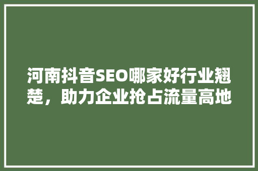 河南抖音SEO哪家好行业翘楚，助力企业抢占流量高地