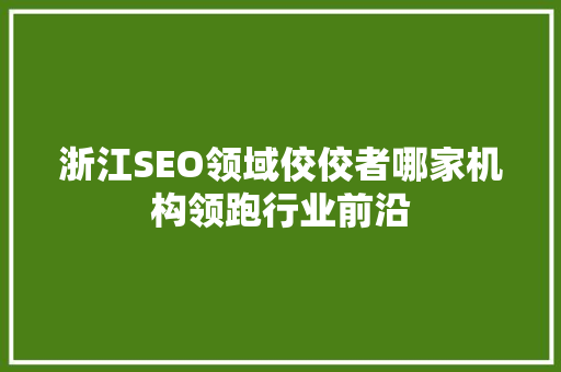 浙江SEO领域佼佼者哪家机构领跑行业前沿