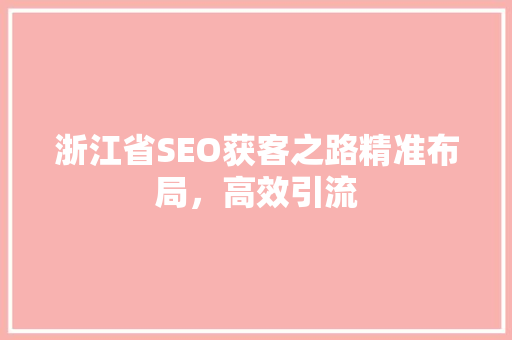 浙江省SEO获客之路精准布局，高效引流
