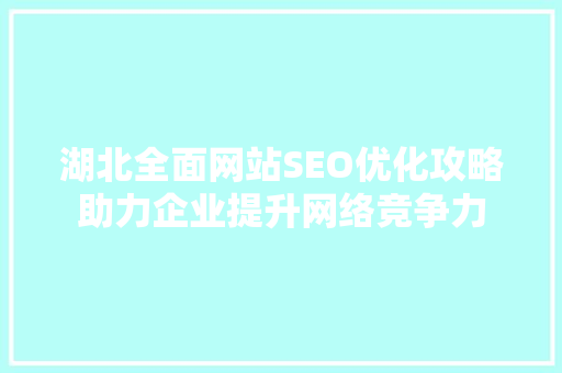 湖北全面网站SEO优化攻略助力企业提升网络竞争力