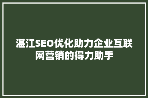 湛江SEO优化助力企业互联网营销的得力助手