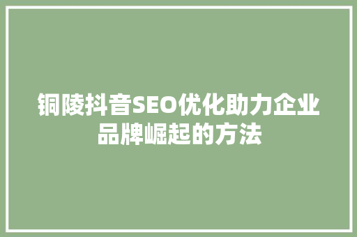 铜陵抖音SEO优化助力企业品牌崛起的方法