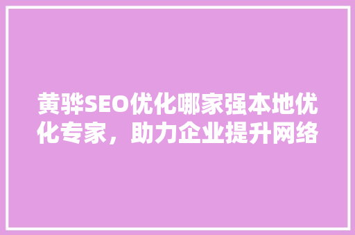 黄骅SEO优化哪家强本地优化专家，助力企业提升网络影响力