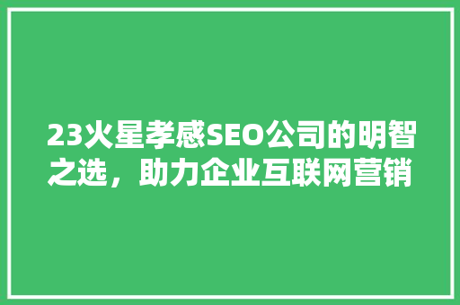 23火星孝感SEO公司的明智之选，助力企业互联网营销新篇章