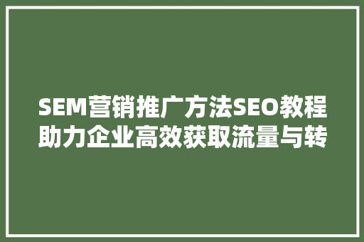SEM营销推广方法SEO教程助力企业高效获取流量与转化
