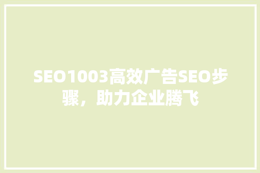SEO1003高效广告SEO步骤，助力企业腾飞