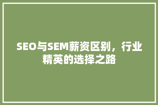 SEO与SEM薪资区别，行业精英的选择之路