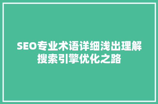 SEO专业术语详细浅出理解搜索引擎优化之路
