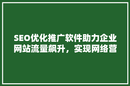 SEO优化推广软件助力企业网站流量飙升，实现网络营销新突破