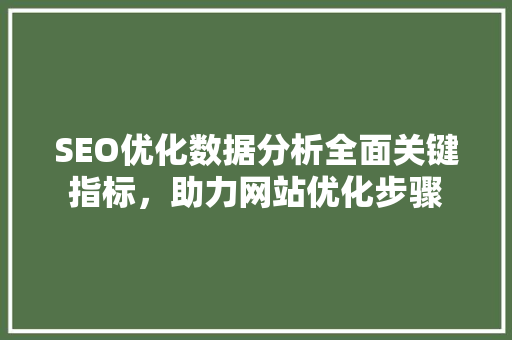 SEO优化数据分析全面关键指标，助力网站优化步骤