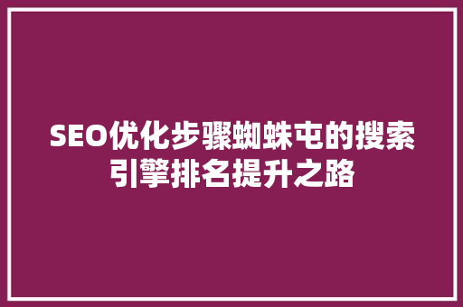 SEO优化步骤蜘蛛屯的搜索引擎排名提升之路