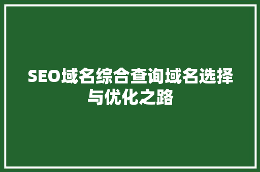 SEO域名综合查询域名选择与优化之路