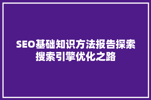 SEO基础知识方法报告探索搜索引擎优化之路