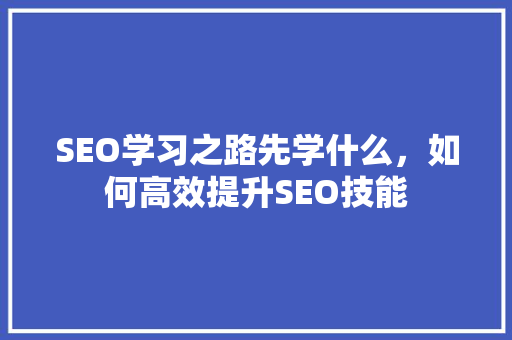 SEO学习之路先学什么，如何高效提升SEO技能