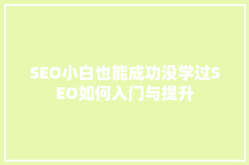 SEO小白也能成功没学过SEO如何入门与提升