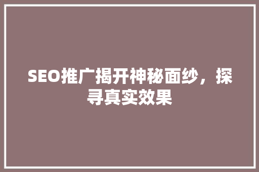SEO推广揭开神秘面纱，探寻真实效果