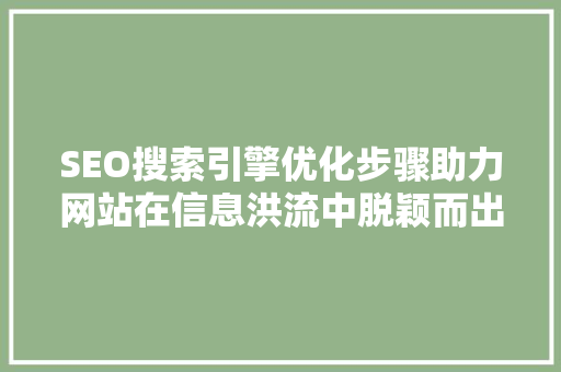 SEO搜索引擎优化步骤助力网站在信息洪流中脱颖而出