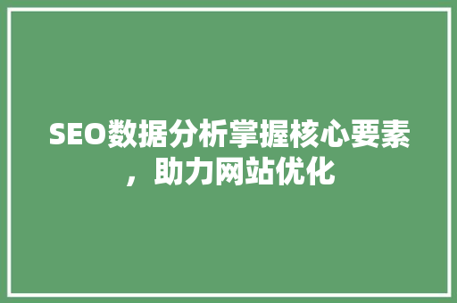 SEO数据分析掌握核心要素,助力网站优化 SEO数据分析掌握核心要素,助力网站优化