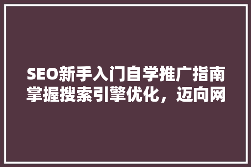 SEO新手入门自学推广指南掌握搜索引擎优化，迈向网络营销成功之路