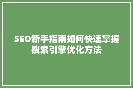 SEO新手指南如何快速掌握搜索引擎优化方法