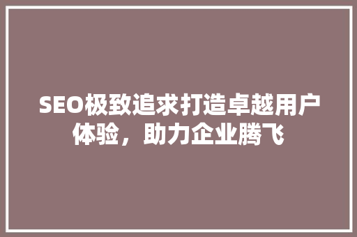 SEO极致追求打造卓越用户体验，助力企业腾飞