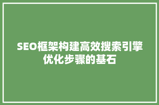 SEO框架构建高效搜索引擎优化步骤的基石