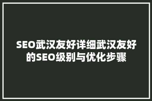 SEO武汉友好详细武汉友好的SEO级别与优化步骤