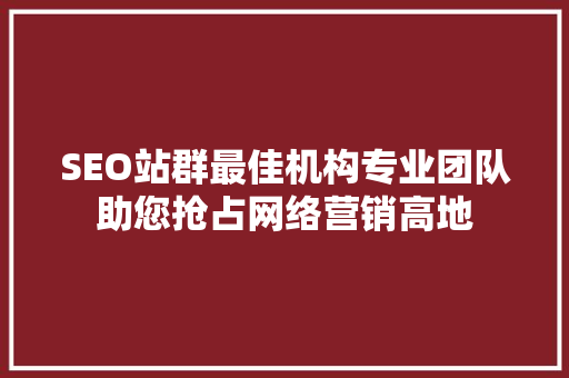 SEO站群最佳机构专业团队助您抢占网络营销高地 网络技术