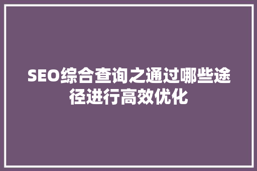 SEO综合查询之通过哪些途径进行高效优化 SEO综合查询之通过哪些途径进行高效优化