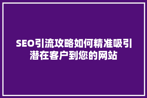 SEO引流攻略如何精准吸引潜在客户到您的网站