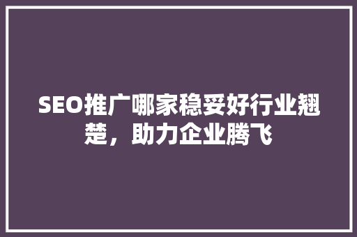 SEO推广哪家稳妥好行业翘楚，助力企业腾飞