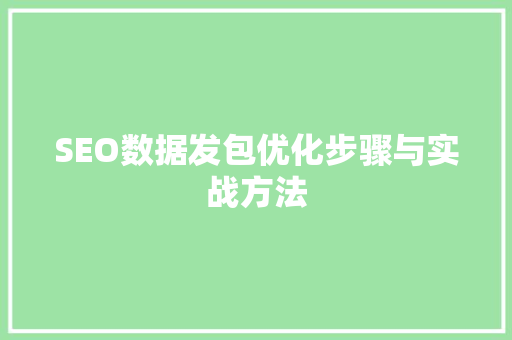 SEO数据发包优化步骤与实战方法