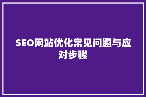 SEO网站优化常见问题与应对步骤