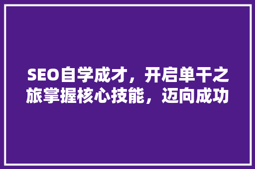 SEO自学成才，开启单干之旅掌握核心技能，迈向成功之路