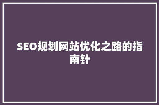 SEO规划网站优化之路的指南针