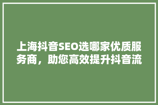 上海抖音SEO选哪家优质服务商，助您高效提升抖音流量