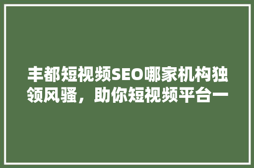 丰都短视频SEO哪家机构独领风骚，助你短视频平台一路飙升