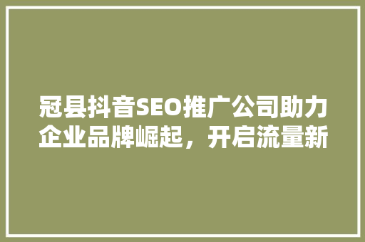 冠县抖音SEO推广公司助力企业品牌崛起，开启流量新时代