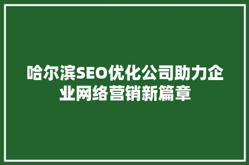 哈尔滨SEO优化公司助力企业网络营销新篇章