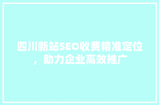 四川新站SEO收费精准定位，助力企业高效推广